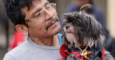 PL para otorgar licencia por fallecimiento de mascotas.