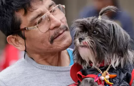 PL para otorgar licencia por fallecimiento de mascotas.