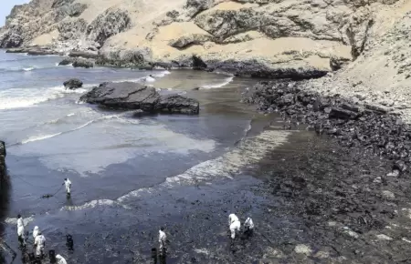 Comisin de Justicia aprueba delito de Ecocidio