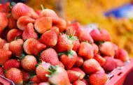 Cuidado! Identifican fresas con residuos de pesticidas que son distribuidas en 5 distritos de Lima y Callao