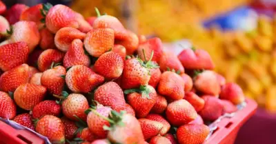 Fresas con altos ndices de pesticida son distribuidas en mercados de Lima.