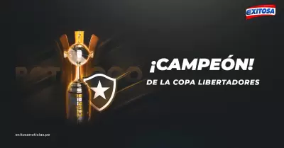 Botafogo se consagr campen de la Copa Libertadores 2024.