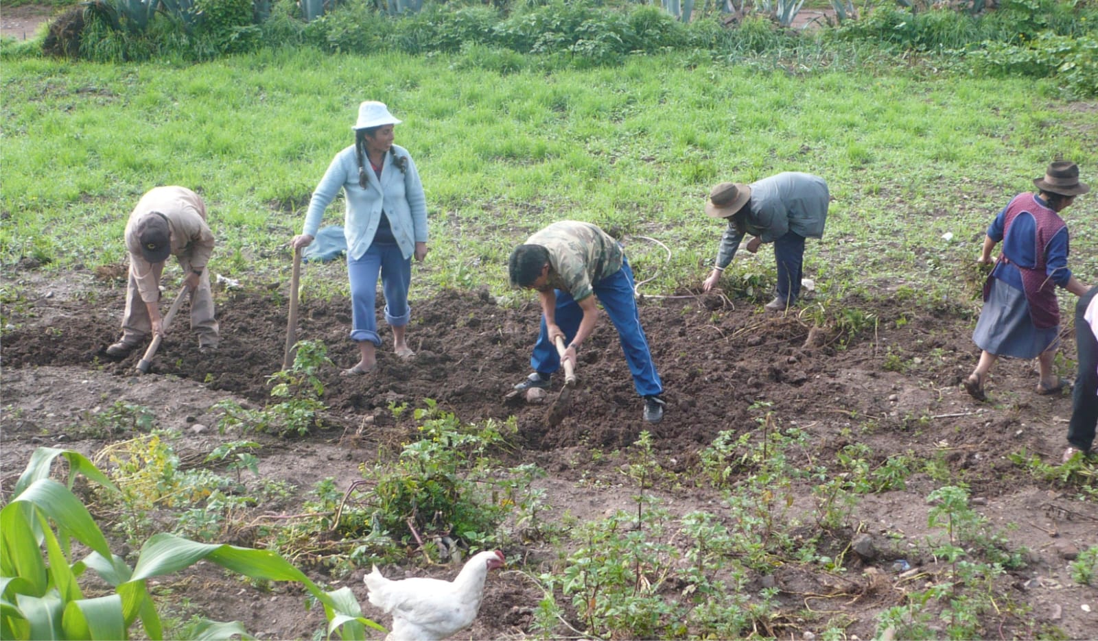 Conveagro rechaza nueva ley agraria del Congreso