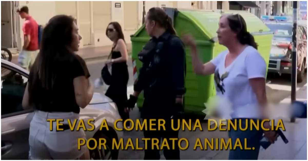 Mujer deja a su perro encerrado en el auto sin ventilación y el animal muere asfixiado