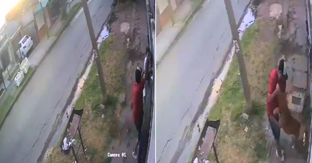 Perro salvó a su dueño de un violento ataque por parte de sujetos: "Iban a dispararme"