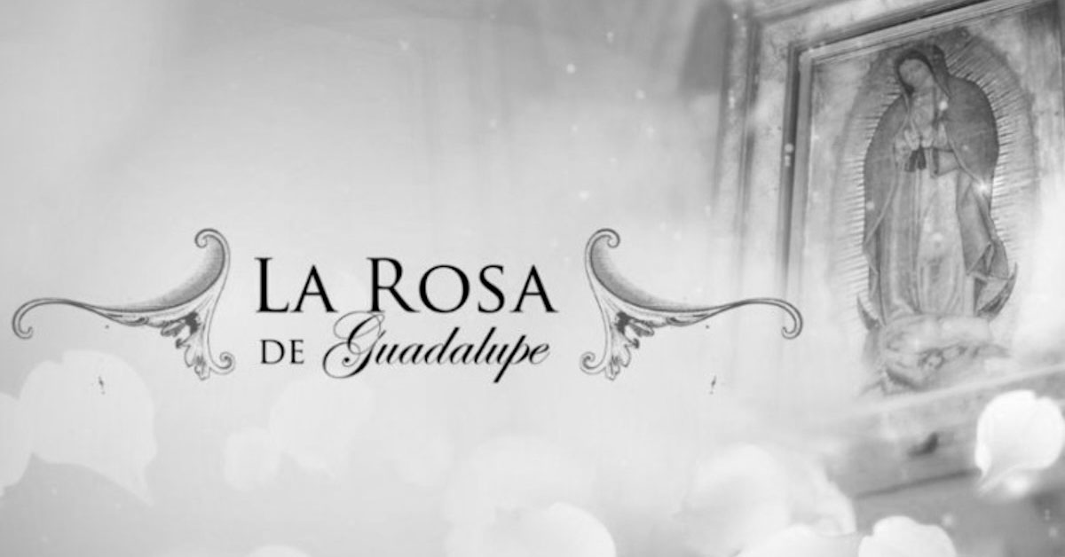 ¡Lamentable! Muere querido actor de Televisa, conocido por su participación en 'La Rosa de Guadalupe'