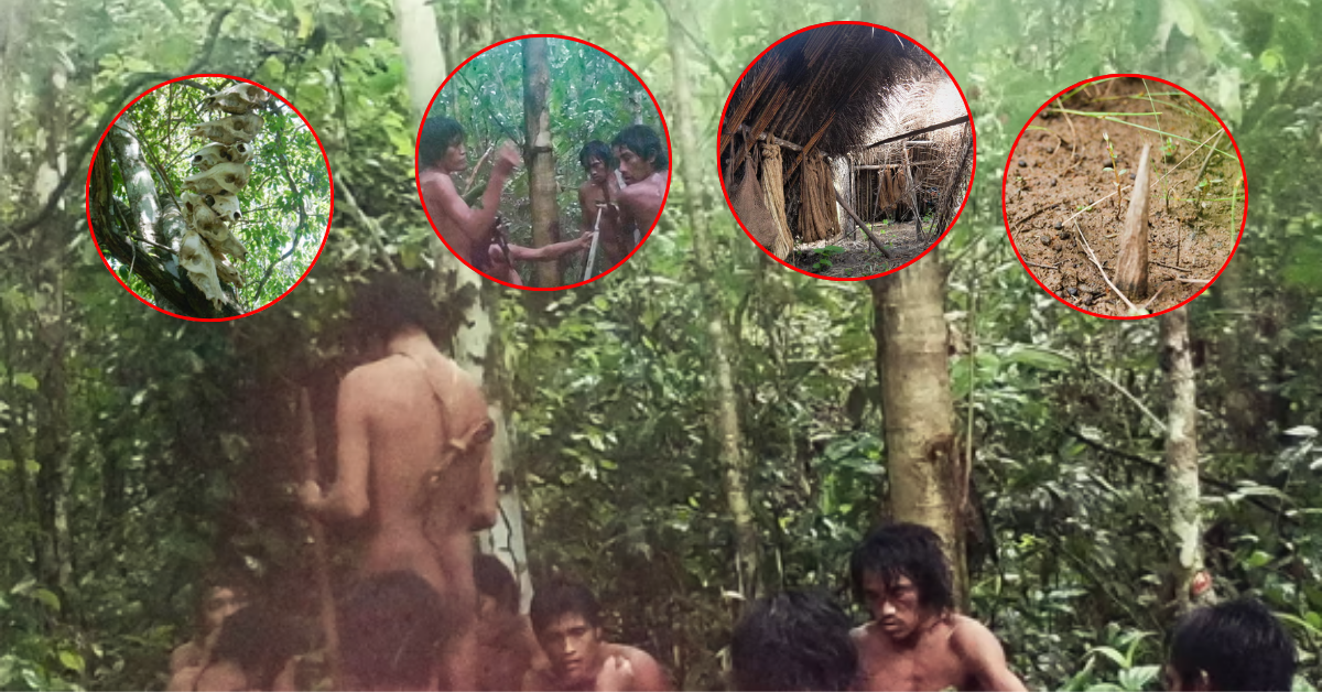 La comunidad Massaco: Tribu amazónica es captada en imágenes por primera vez