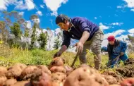 Conveagro rechaza la nueva ley agraria del Congreso por atentar contra la agricultura familiar