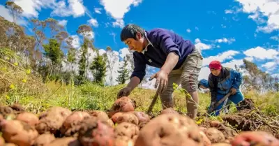 Conveagro rechaza nueva ley agraria del Congreso