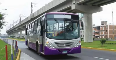 Anuncian nuevos paraderos para el corredor Morado.