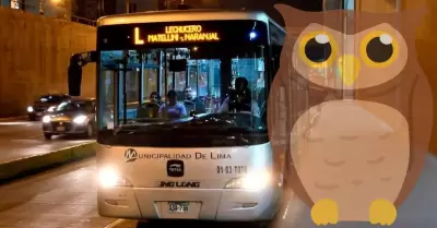 Los buses operan de 11:30 de la noche a 4:00 de la madrugada.