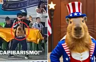 'Capibarismo' al poder! Alumnos peruanos crean 'movimiento poltico' inspirado en popular animalito