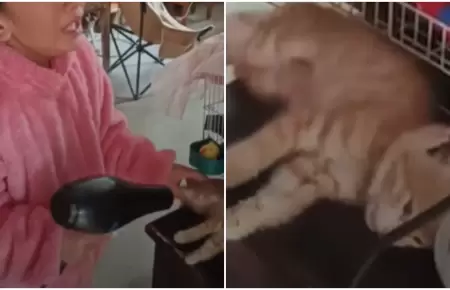 Nia intenta resucitar a su gato congelado con secador de pelo