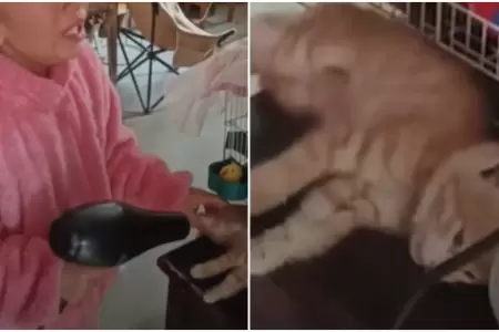 Nia intenta resucitar a su gato congelado con secador de pelo