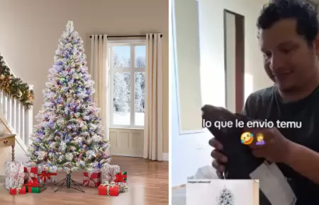 Hombre pidi rbol de Navidad por Temu y lo que recibi fue increble.