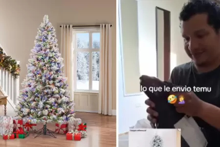 Hombre pidi rbol de Navidad por Temu y lo que recibi fue increble.