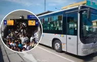 Atencin! ATU anuncia despliegue de buses para atender alta demanda en el Metropolitano por feriado