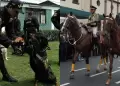 El colmo! 17 caballos y 28 perros de la PNP desaparecieron, advierte Contralora