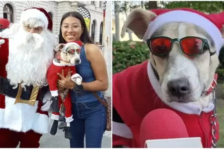 Perrito se disfraza para cubrir sus tratamientos mdicos