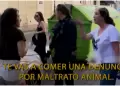 Mujer deja a su perro encerrado en el auto sin ventilacin y el animal muere asfixiado