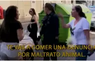 Mujer deja a su perro encerrado en el auto sin ventilacin y el animal muere asfixiado