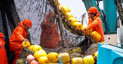 Pesca de anchoveta alcanza el 65.56% de la cuota en la segunda temporada.