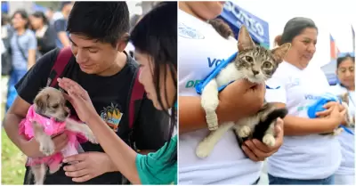 Ms de 500 animales esperan un hogar en el Parque de la Exposicin