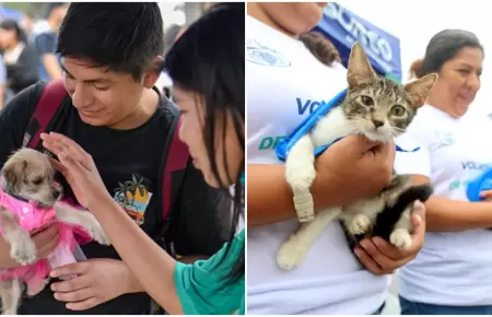 Ms de 500 animales esperan un hogar en el Parque de la Exposicin