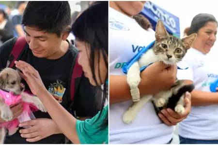 Ms de 500 animales esperan un hogar en el Parque de la Exposicin