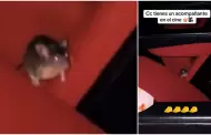 Joven se encuentra a un ratn en conocido cine mientras coma su canchita: "Pet friendly"