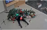 Accidente navideo! Hombre intenta reubicar un rbol de Navidad y termina aplastado