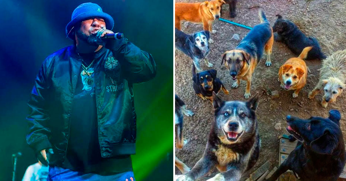 Reguetonero y su INESPERADO emprendimiento para ayudar a perros sin hogar: "Me han cambiado la vida"