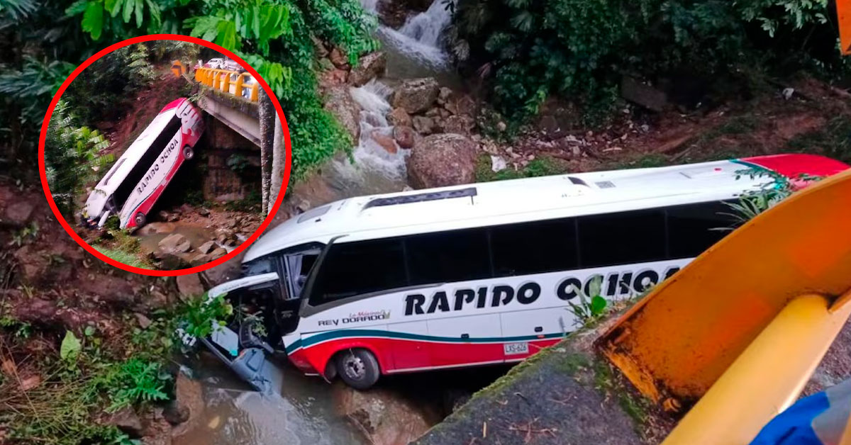 Bus se sale de la vía y cae a precipicio: Reportan al menos tres fallecidos y decenas de heridos