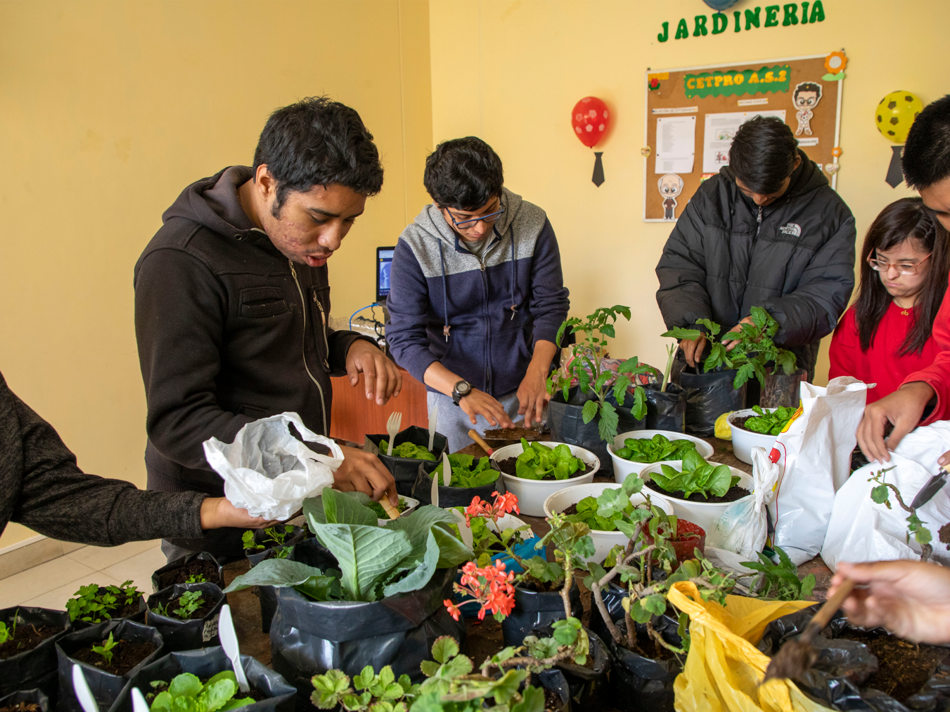 Instalacin, preparacin y siembra de la especie a cultivar