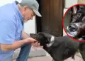 Artista jubilado remata sus obras para poder pagar el tratamiento de su perrita: "Debo salvar a mi compaera"