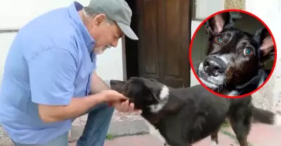 Artista jubilado vende obras para salvar a su perrita.