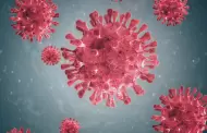 Metapneumovirus humano: "Virus respiratorio no es nuevo, tiene como 60 aos", asegura experto del INS