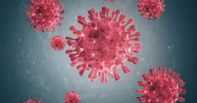 Metapneumovirus humano existe hace 60 aos en el mundo.