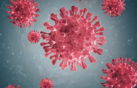 Metapneumovirus humano existe hace 60 aos en el mundo.