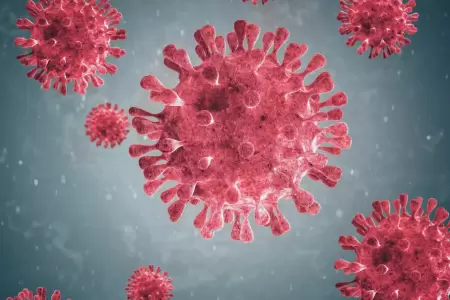 Metapneumovirus humano existe hace 60 aos en el mundo.