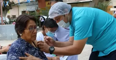 Casi 500 peruanos fallecieron por Covid-19 en 2024.