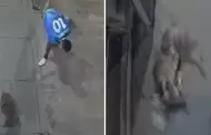 Indignante! Hombre golpea sin piedad a indefenso perrito en Piura