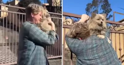 Hombre se reencuentra con su perrito tras incendio forestal en EE.UU.