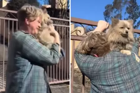 Hombre se reencuentra con su perrito tras incendio forestal en EE.UU.