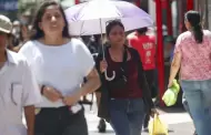 Ms de 30 grados! Lima y los distritos que tendrn las temperaturas MS ALTAS en verano, segn Senamhi