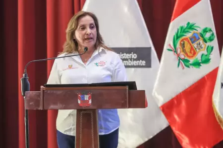 Dina Boluarte "manos limpias"