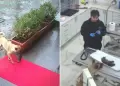 Perrita callejera acudi al veterinario para salvar a su cra: VIDEO conmueve a todos en redes sociales