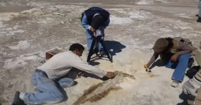 Da Nacional de la Paleontologa este 20 de enero