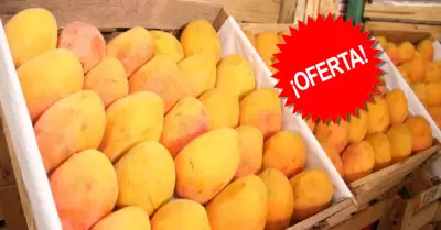 Mangos alcanzan precios increblemente bajos en los mercados de Lima.