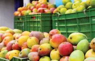 Comerciantes piden consumir mangos ante crisis de agricultores: "Hay que consumir lo nuestro"